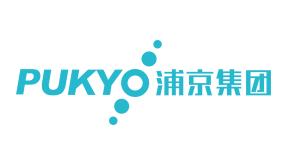 广东浦京集团